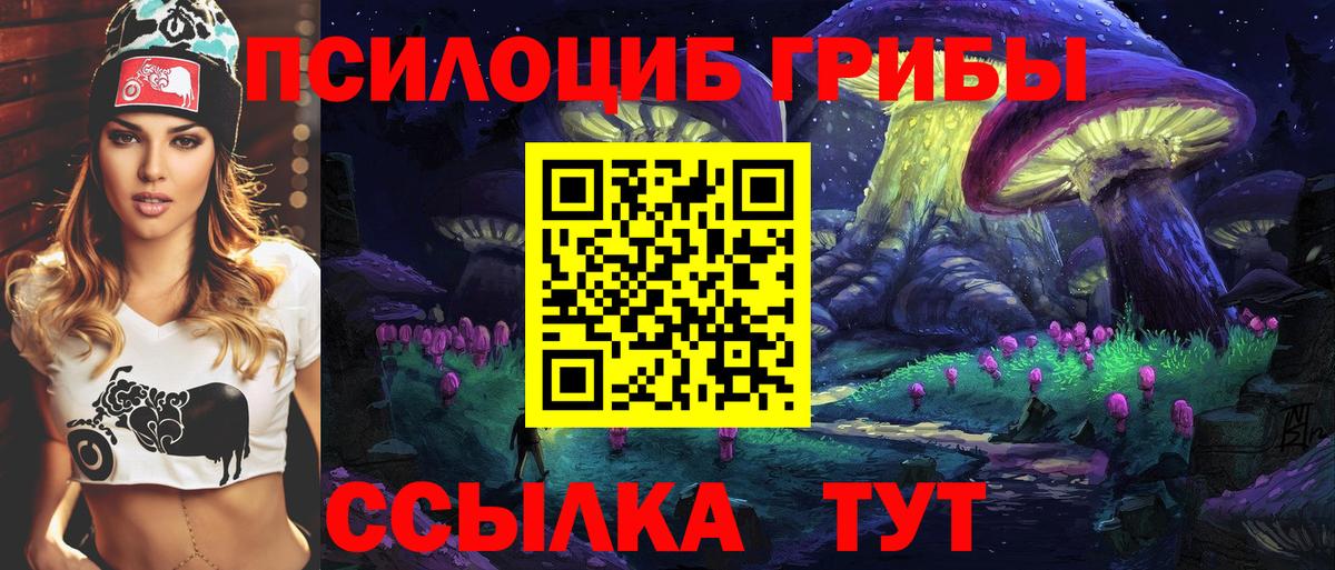 Гуково  Галлюциногенные грибы Psilocybine cubensis  Вход с VPN 